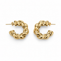 Bold Muse Earrings